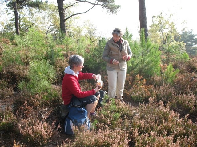 2007 10 Bois de Rochefort 10
